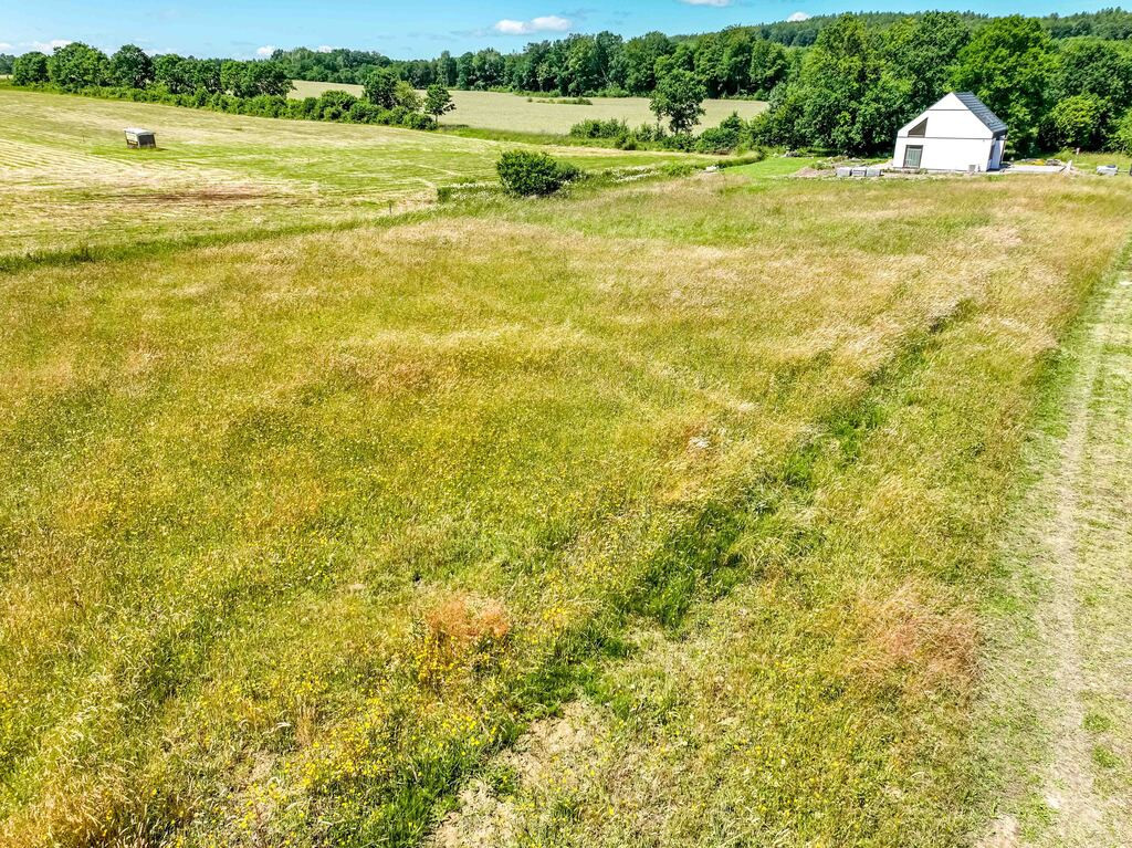 Działka Sprzedaż Mechowo Pod Lasem 6