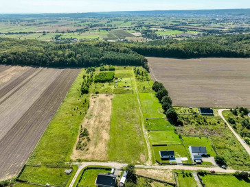 Działka Sprzedaż Połchowo