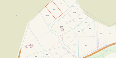 Działka Sprzedaż Domatowo Piaskowa