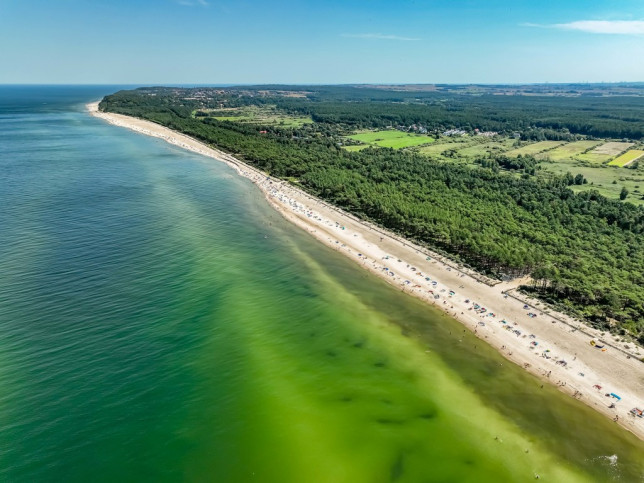 Działka Sprzedaż Ostrowo 12