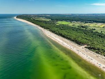 Działka Sprzedaż Ostrowo