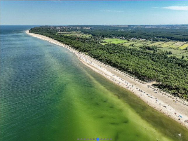 Działka Sprzedaż Karwieńskie Błoto Pierwsze 2