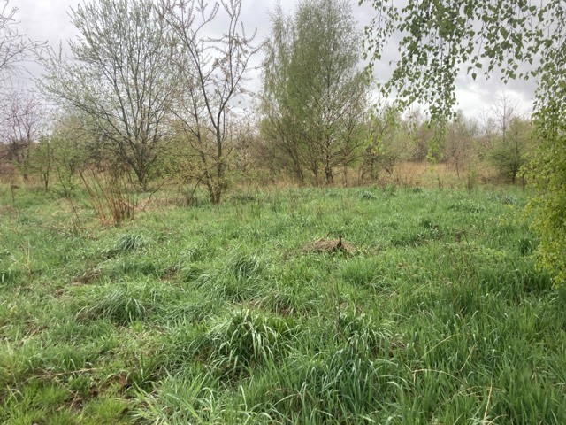 Działka Sprzedaż Łebcz Swarzewska 10