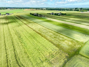 Działka Sprzedaż Starzyński Dwór