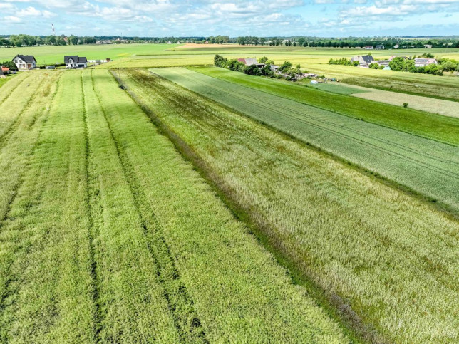 Działka Sprzedaż Starzyński Dwór 10